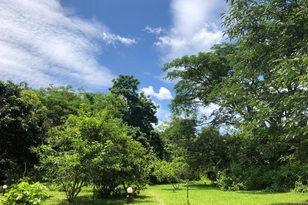 Photo of Outdoor in Hang Dong