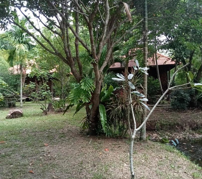 Photo of Others in Nuea Khlong