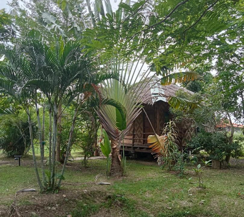 Photo of Others in Nuea Khlong