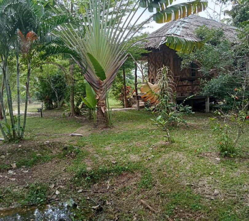 Photo of Others in Nuea Khlong