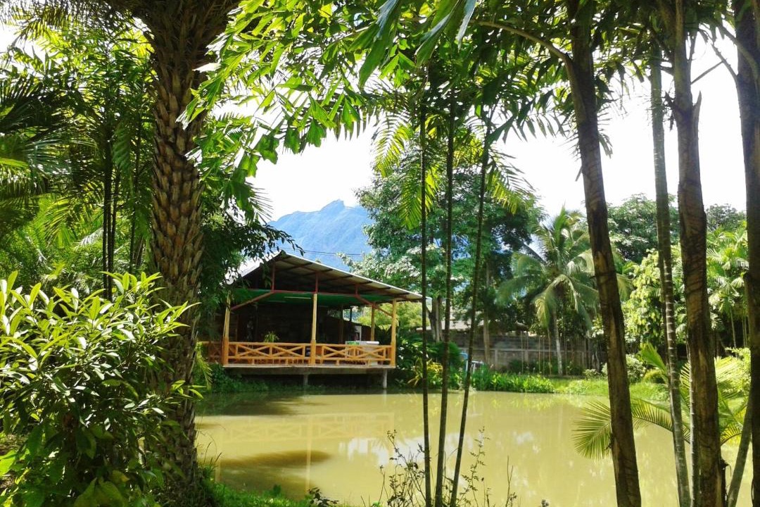 Photo of Others in Chiang Dao