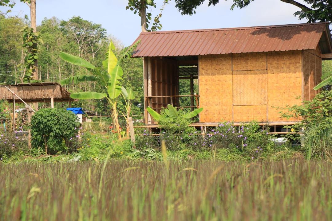 Photo of Others in Mueang Pan