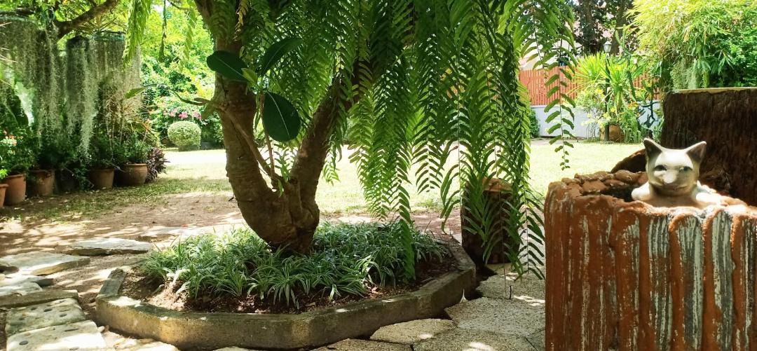 Photo of Patio Balcony in Sattahip