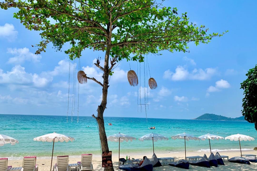 Photo of Others in Rayong