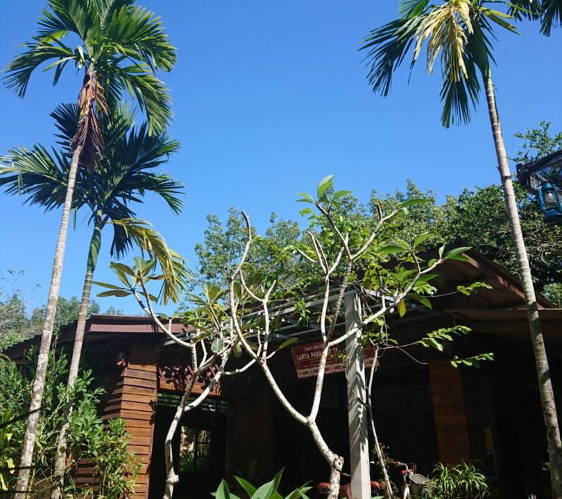 Photo of Others in Ko Lanta