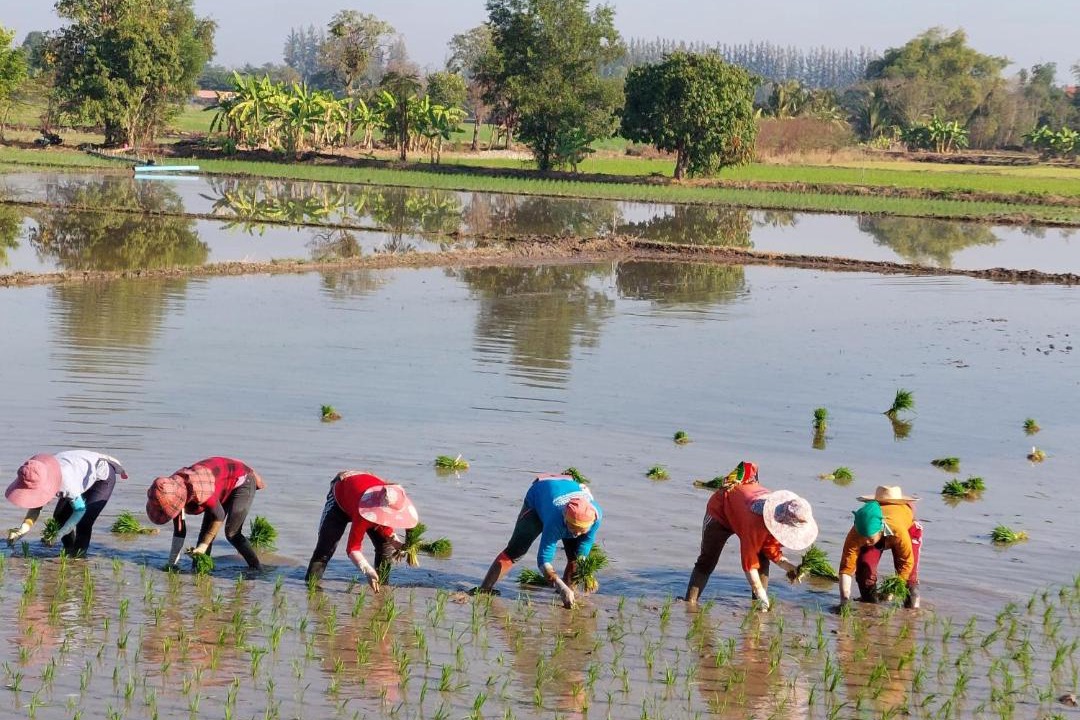 Photo of Others in Mueang Nga
