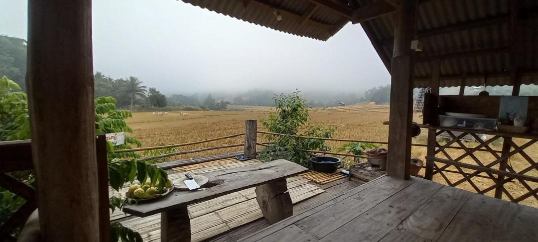 Photo of Others in Chiang Dao