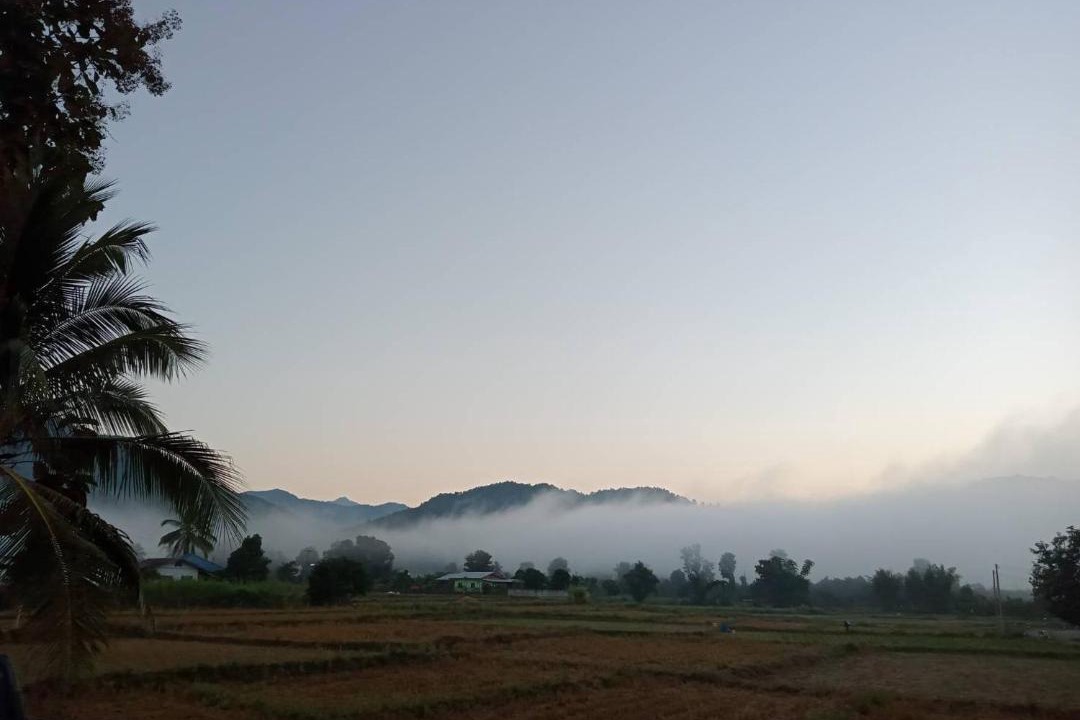 Photo of Others in Pua