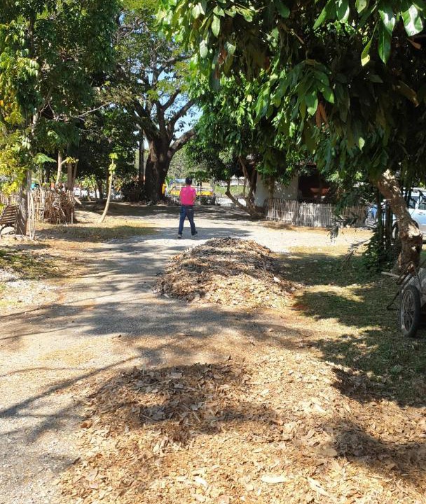 Photo of Outdoor in Lampang