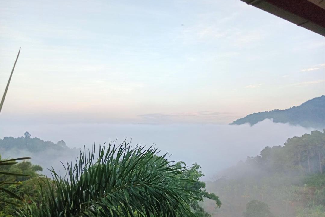 Photo of Outdoor in Mae Fa Luang