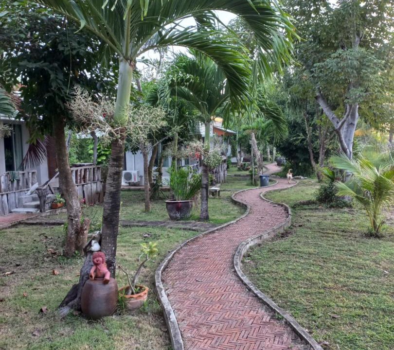 Photo of Others in Nong Phlap