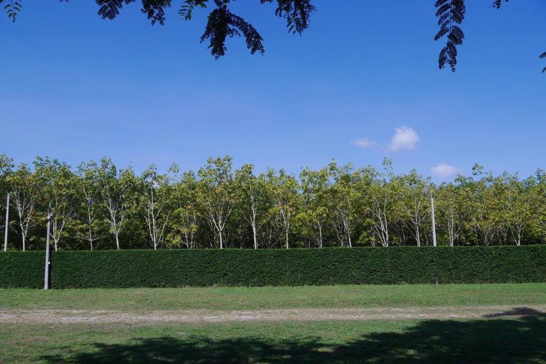 Photo of Outdoor in Klaeng