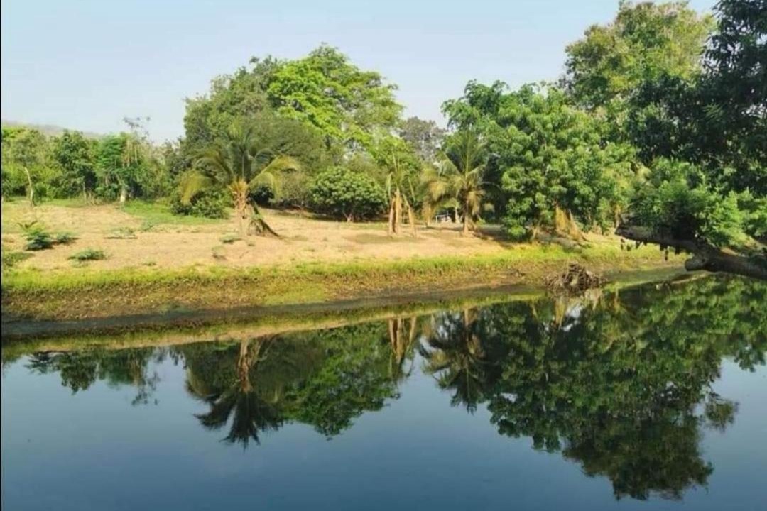 Photo of Others in Kaeng Krachan