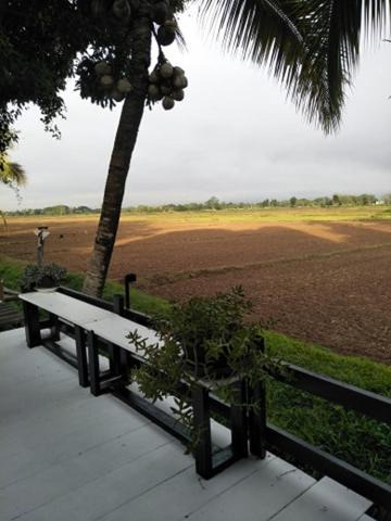 Photo of Others in Phayao