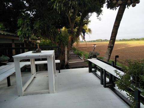 Photo of Others in Phayao
