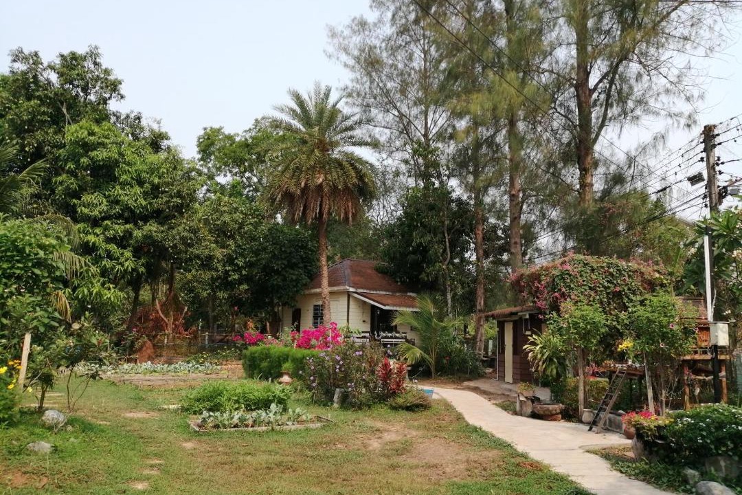 Photo of Others in Nong Khai