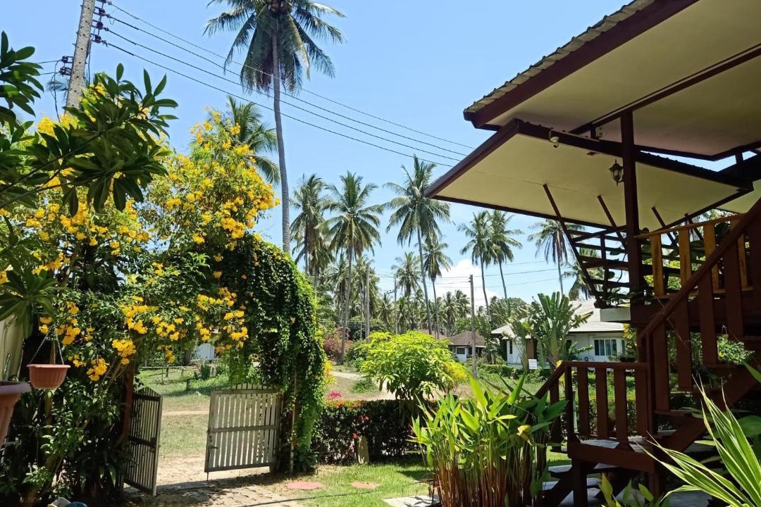 Photo of Others in Thong Chai