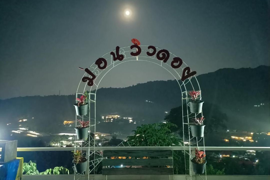 Photo of Others in Pong Yaeng