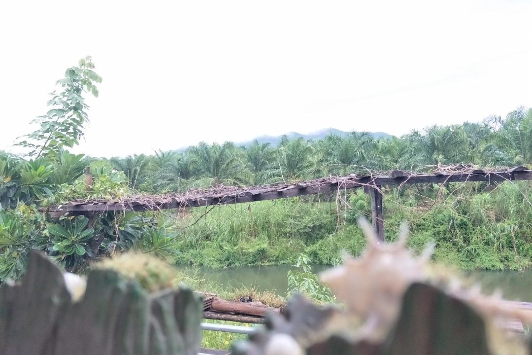Photo of Others in Thoeng