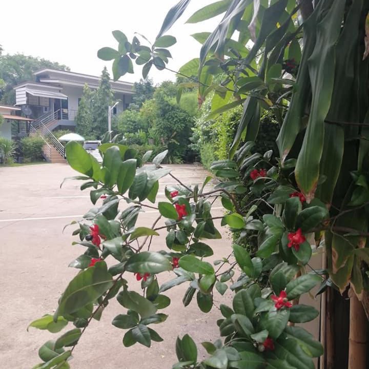 Photo of Outdoor in Phen