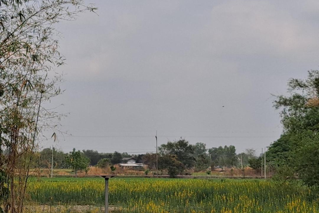 Photo of Outdoor in Pak Phli