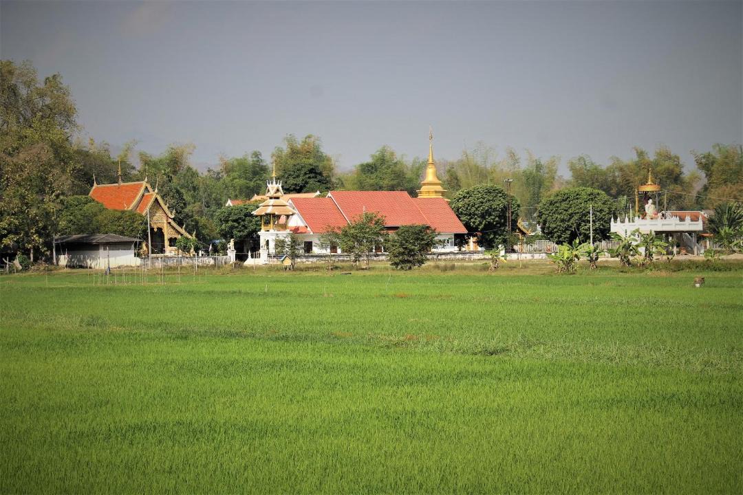 Photo of Buildings in Huai Sai