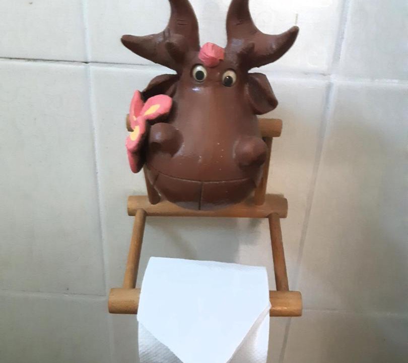 Photo of Bathroom in Saraphi