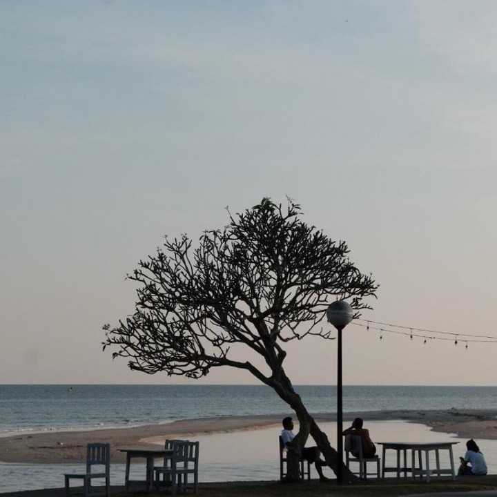 Photo of Others in Kram