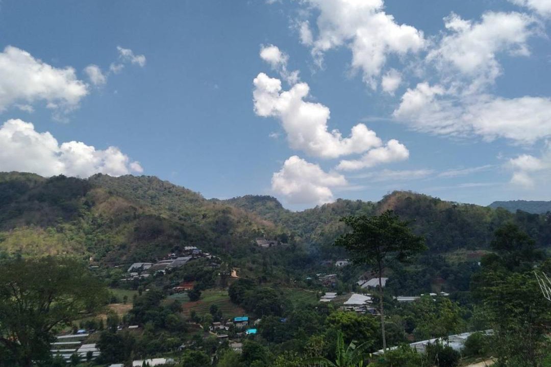 Photo of Others in Pong Yaeng