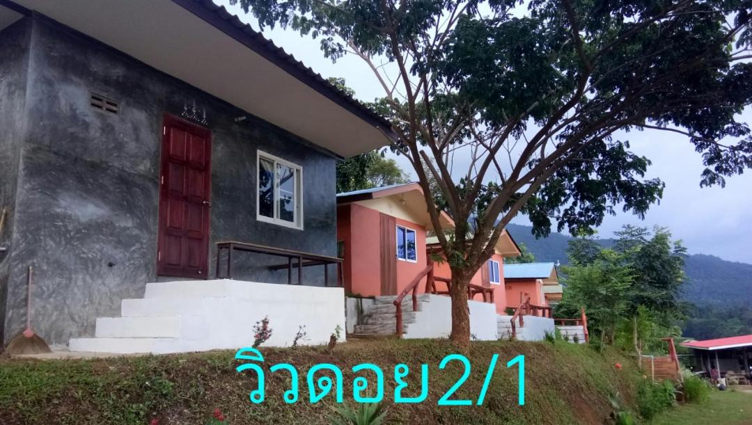 Photo of Others in Pong Yaeng