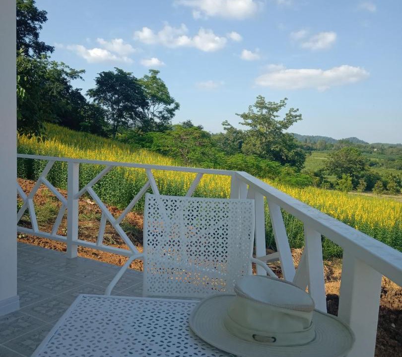 Photo of Others in Nong Phai
