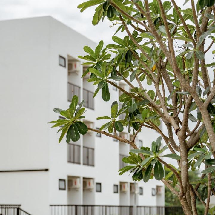 Photo of Buildings in Lak Song