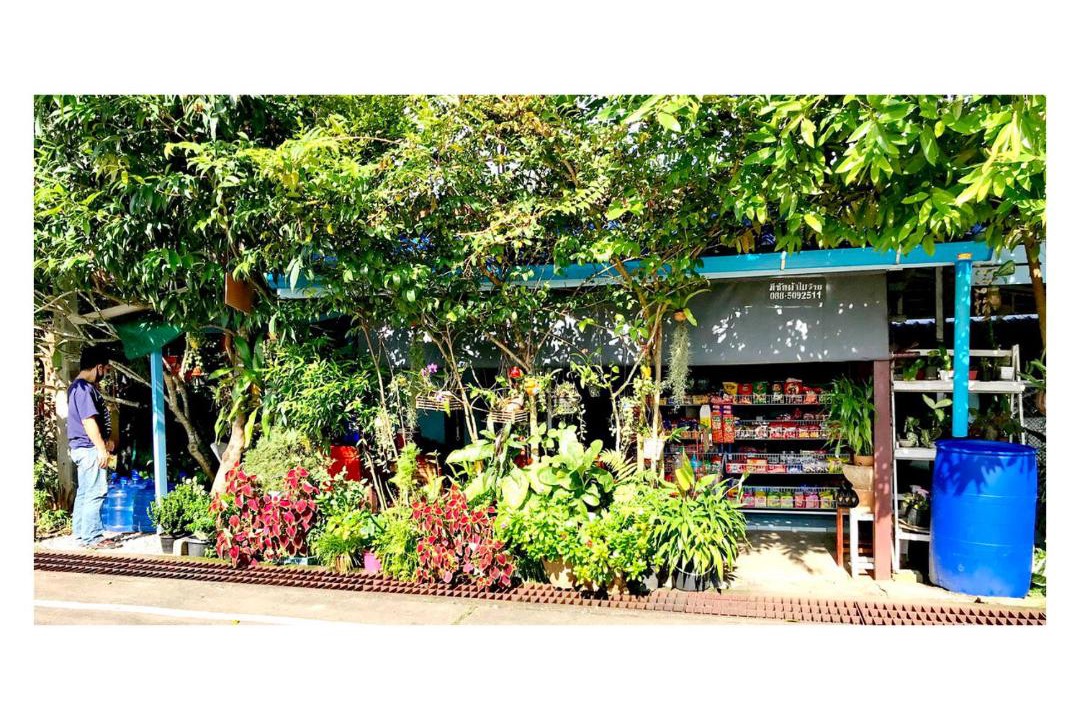 Photo of Outdoor in Sangkhla Buri