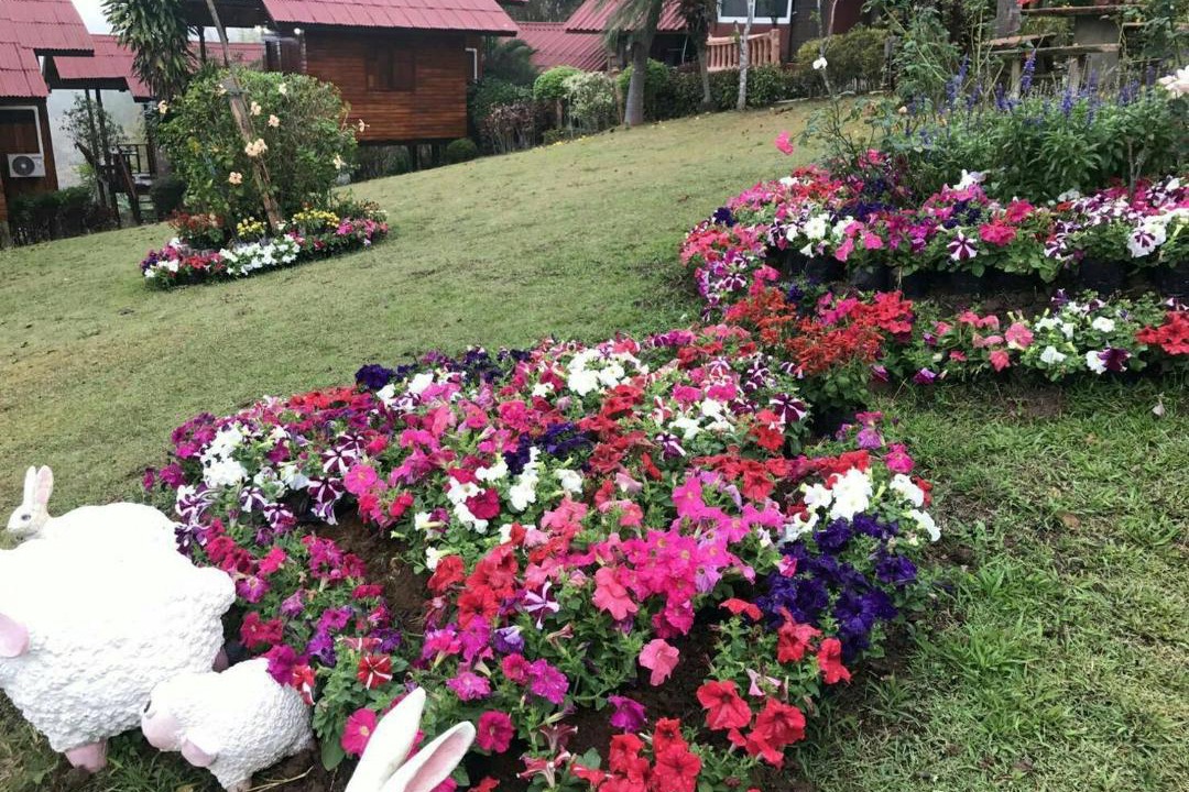 Photo of Outdoor in Khaem Son