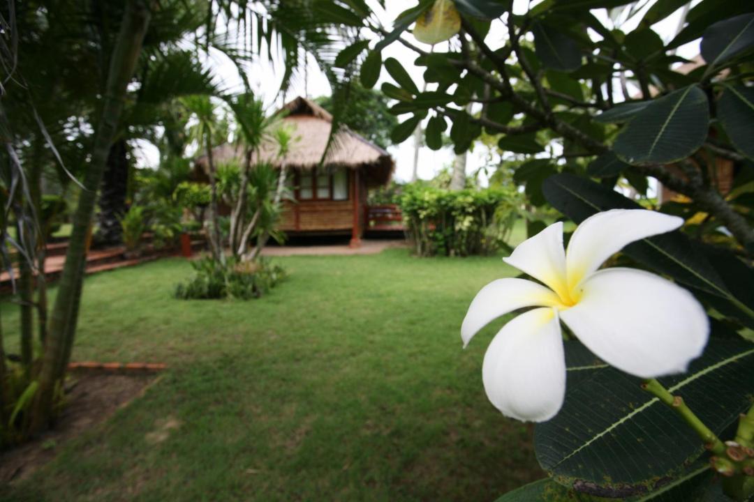 Photo of Others in Thong Chai