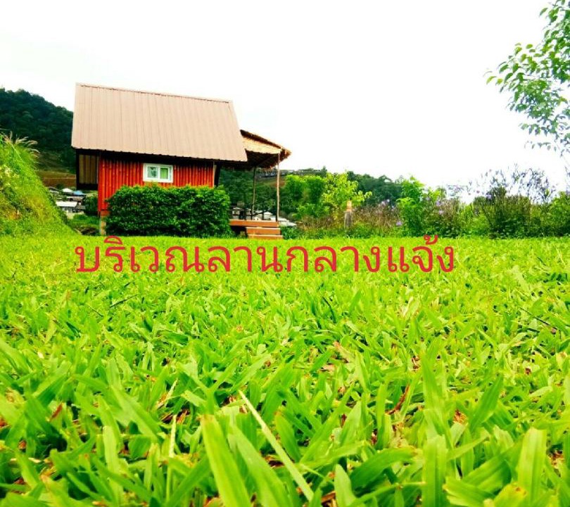 Photo of Others in Mae Rim