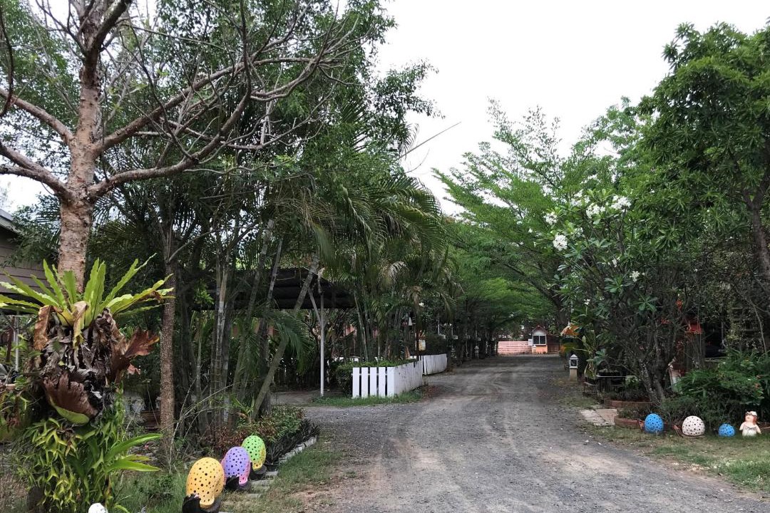 Photo of Others in Surin