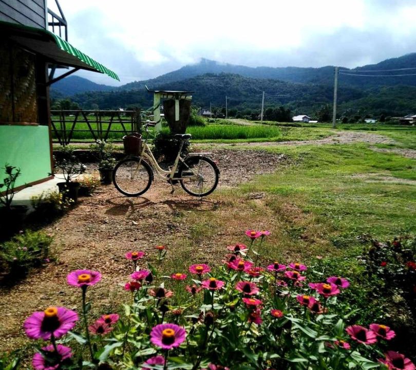 Photo of Others in Pua