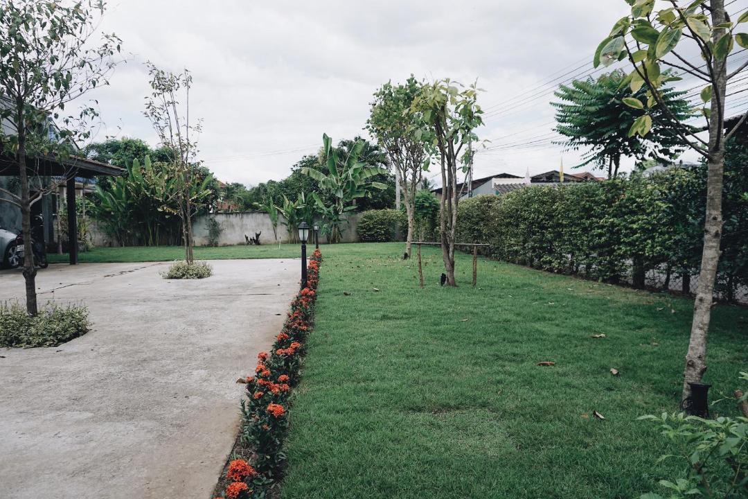 Photo of Others in Wiang Nuea