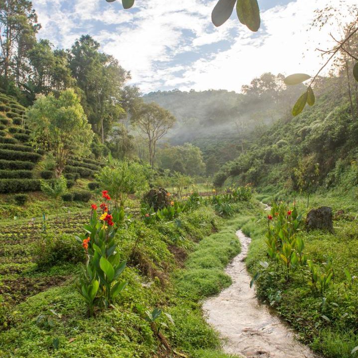 Photo of Others in Mae Suai