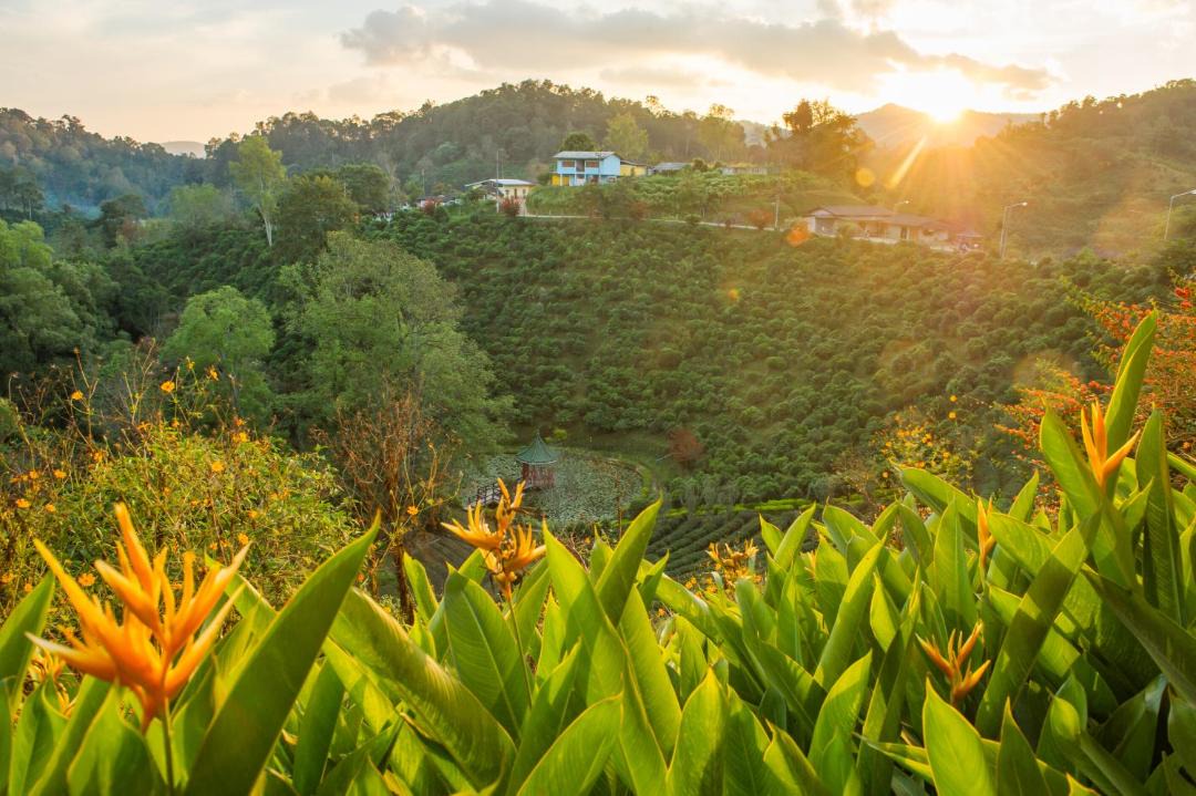 Photo of Others in Mae Suai