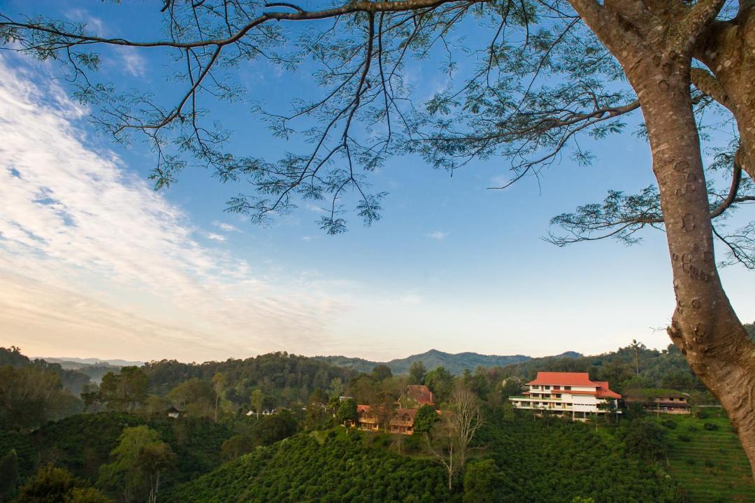 Photo of Others in Mae Suai