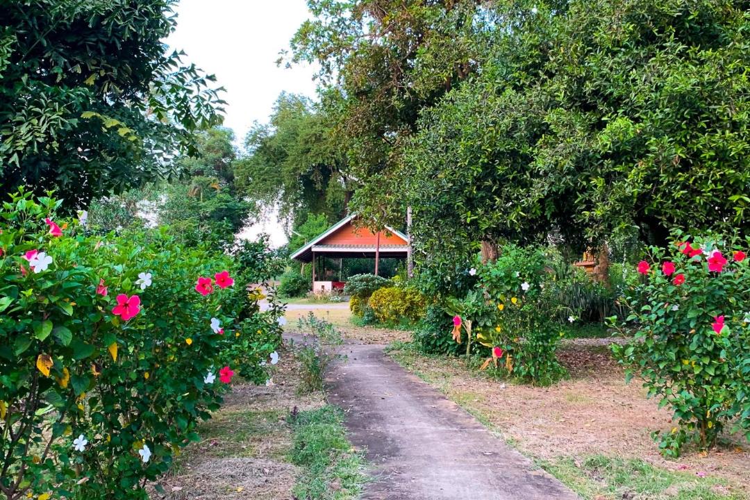 Photo of Outdoor in Nam Song