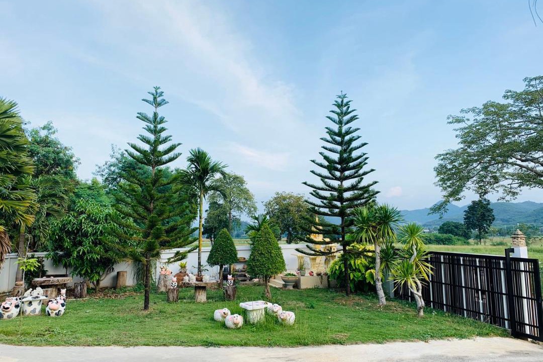 Photo of Others in Nong Nam Daeng