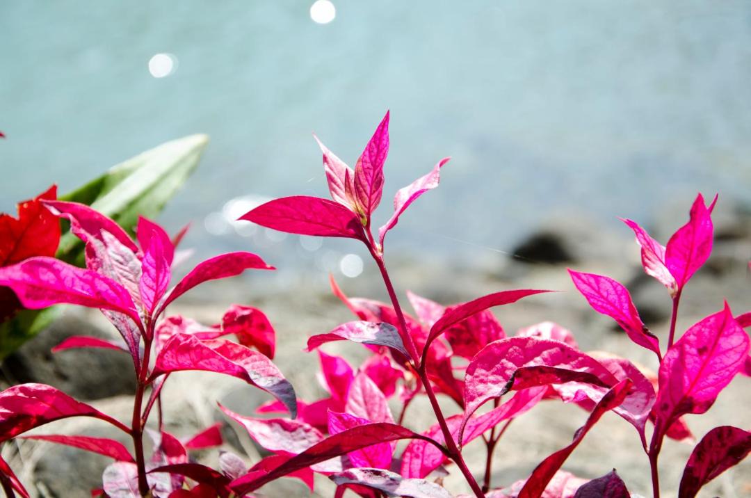 Photo of Outdoor in Ko Mak