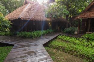 Photo of Others in Chiang Dao
