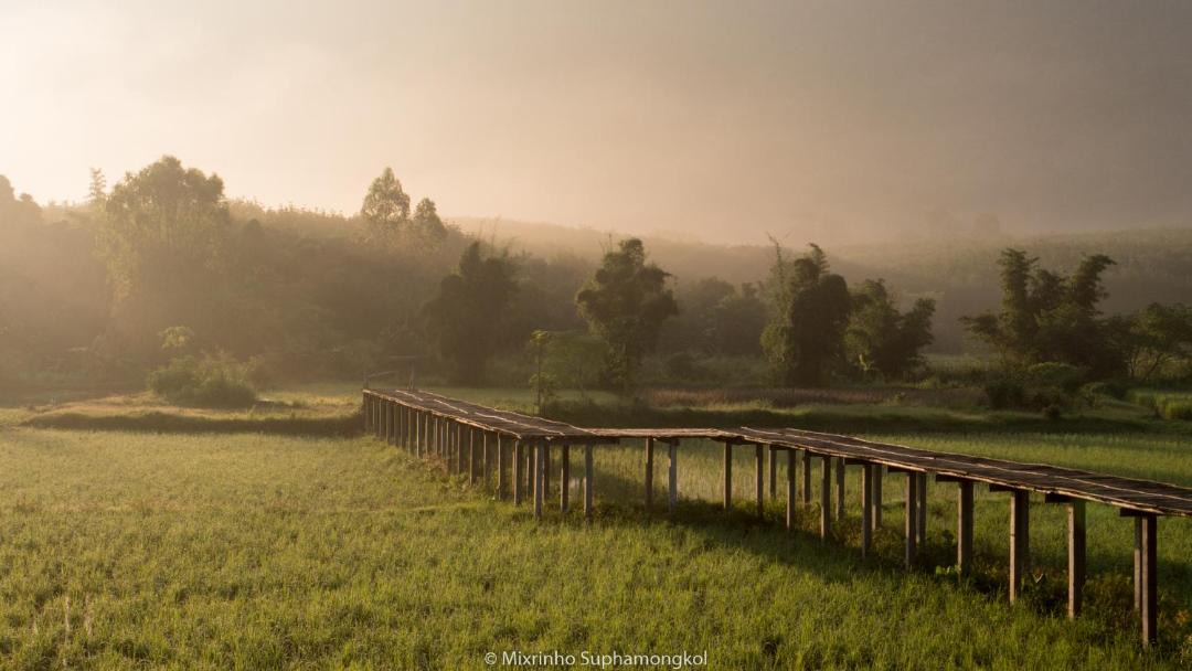 Photo of Others in Phu Ruea