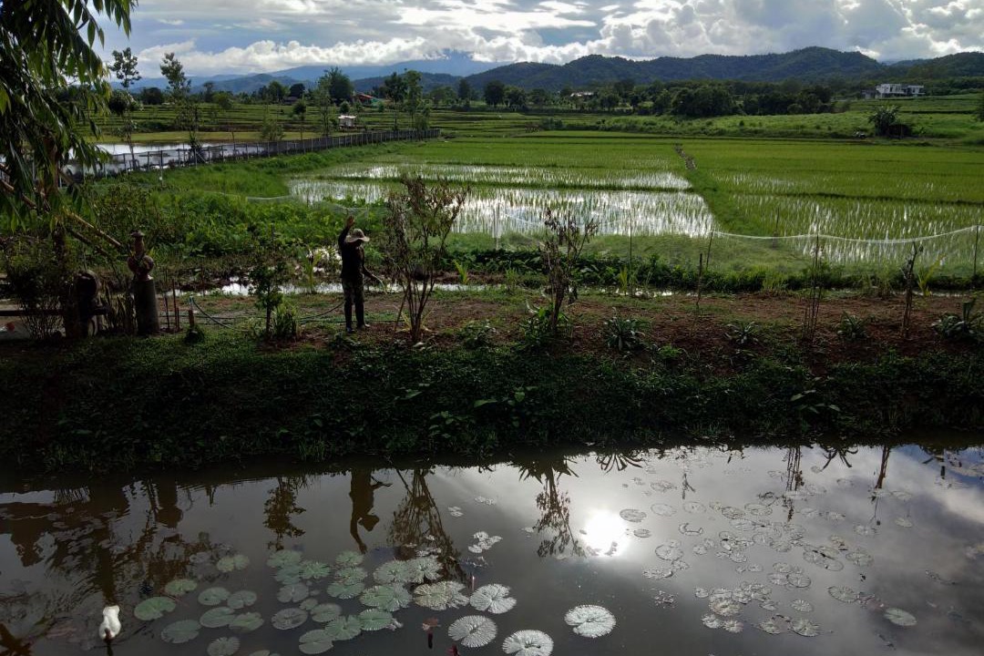 Photo of Others in Mae Kon