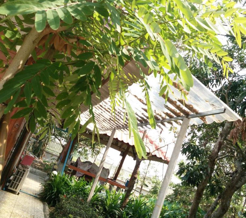 Photo of Others in Mueang Nga