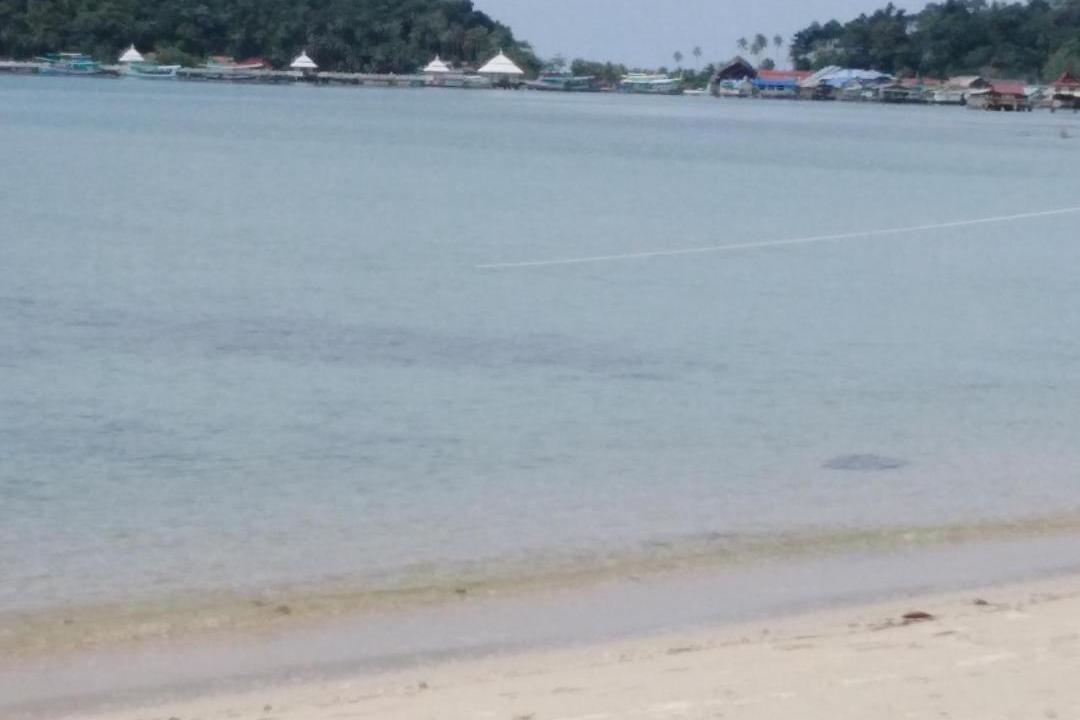 Photo of Others in Khong Koi Beach